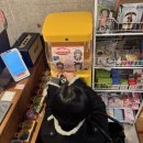 예은농장 | ✌🏻월 🦷월 2️⃣월