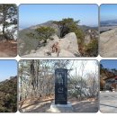 터누아 /만어산장 산악회 제152차 경주 남산 보문 산행안내 4월7일(목요일) 이미지