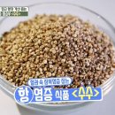 수수 이미지