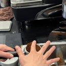 바리스타 라떼아트과정 이미지