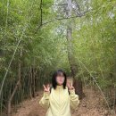 해동3호 | 국내여행 부산 2박3일(2), 해동용궁사, 빨간떡볶이, 상국이네 떡볶이, 광안리대교밀면, 스파랜드