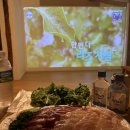 표선여가 | 제주 동쪽 감성숙소 표선여가 자쿠지가 있고 힐링할 수 있는 독채숙소 표선여가에서의 2박 후기