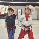 국가대표 라이온 태권도장 이미지