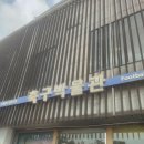 수원 삼성 VS 대구 FC(2023.09.17 직관)