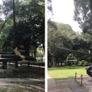 전쟁박물관 이미지