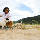 바둑이마을 이미지