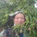 박용수농장 이미지