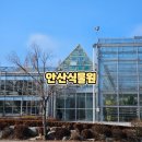 안산 식물원 | 안산식물원 방문 후기 아이랑 꼭 가봐야 할 따뜻한 실내 식물원