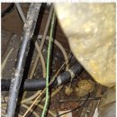 부천로354번길 | 부천변기 24시간 언제나 믿고 맡길 수 있는 하수구 에스홈케어 후기