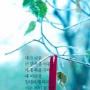 오늘도건강