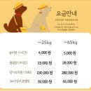 카페유 이미지
