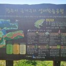 경안천습지생태공원 이미지