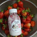[딸기우유] 제절 딸기로 만든 핫한 생딸기 우유 이미지