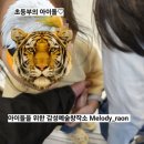 경희대 부부 무향 태권도장 | 곳.봉담2지구음악미술학원 뉴멜로디음악학원/라온미술학원/무향태권도와 함께하는 신학기이벤트 안내!