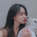 글램인스타 이미지