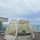 니도(Nido) | 부산 기장 일광 오션뷰 대형카페 마늘브레드 니도에이드 후기 카페 NIDO