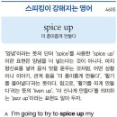 spice up 이미지