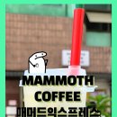매머드 익스프레스 신설동역점 이미지