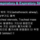 14. Inspiratory and Expiratory Stridor 이미지