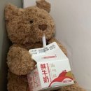 곰도리 이미지