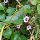 세종양봉백화점 이미지