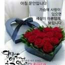 마음의꽃 이미지