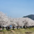 응천공원 이미지