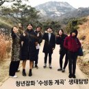 [청년잡화] &#39;수성동계곡 생태탐방&#39; 후기 / 서울환경운동연합
