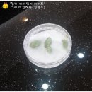 평제한의원 이미지