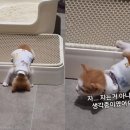아 이미지