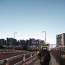 본가청기와감자탕 | 곡반정동 맛집 본가청기와감자탕 내돈내산 후기