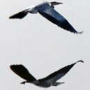 유곡천다목적캠핑장 이미지