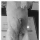 토곡동물병원 이미지