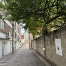 용산 삼각지 감성카페 피요르드(FJORD) 후기 | 야외정원과 인생 시나몬롤이 있는 공간