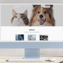 (주)진메디칼 이미지