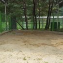 수미초교병설 이미지