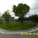 꽃길만두 이미지