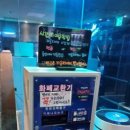고래고래코인노래연습장 이미지
