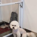 제이앤제이 그루밍 이미지