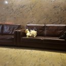 천안메트로관광호텔 이미지