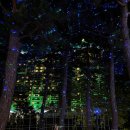 불꽃실비식당 이미지