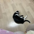 파주열정주유소 | 24년 3월 - 달디달고 달디달고 달디단 봄 휴 가 봄 휴 가