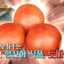 노화농장 이미지