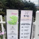 카페스토리(cafe story) 이미지