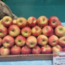 홀뫼농장 이미지