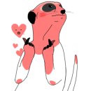 조이핏 복싱 짐 이미지