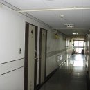 대선월드피아 이미지