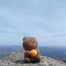 귤곰 이미지