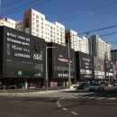 이노센트;보루네오