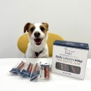 피피도그 이미지